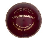 SG Tournament™ Cricket Leather Ball