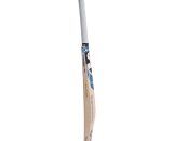 SG RELIANT XTREME ENGLISH WILLOW CRICKET BAT